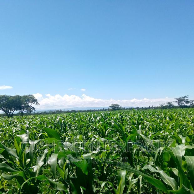 Loitokitok 10,20,42 Acres