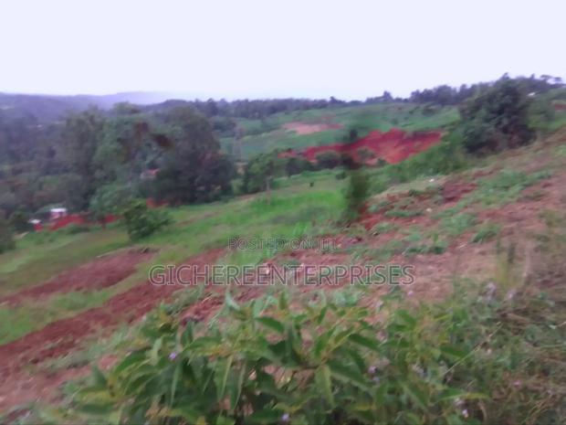 Nyeri Ngaini