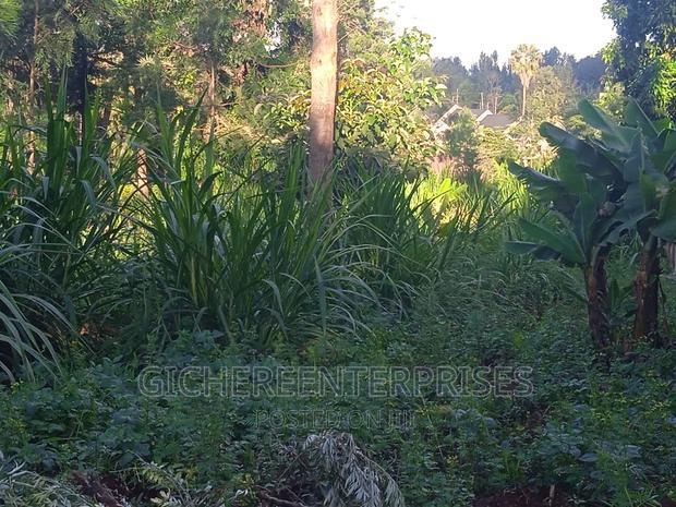 Thika Horticultural