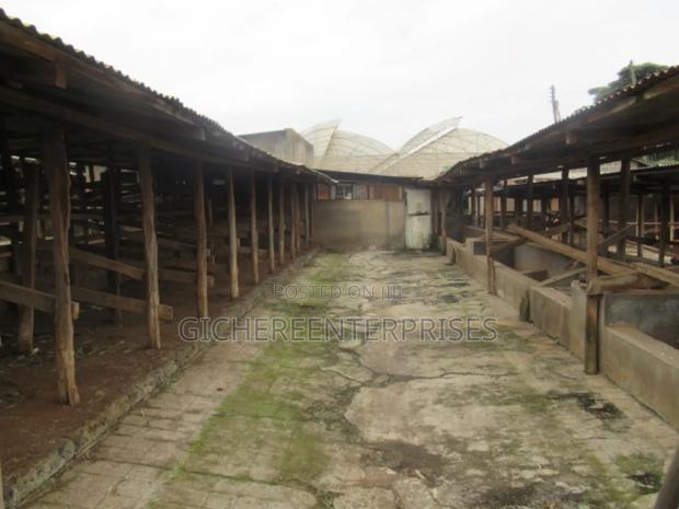 5bdrm Farm House in Redhills, Limuru for sale
