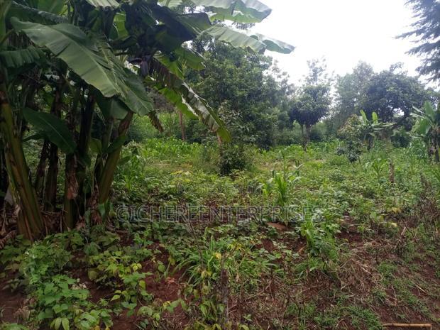 Kikuyu Plot