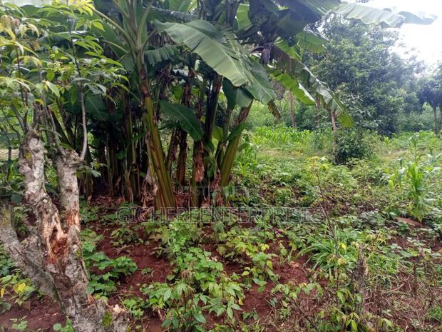 Kikuyu Plot