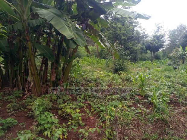 Kikuyu Plot