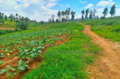 Kiambu Road