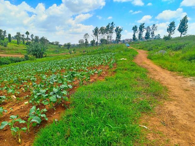 Kiambu Road
