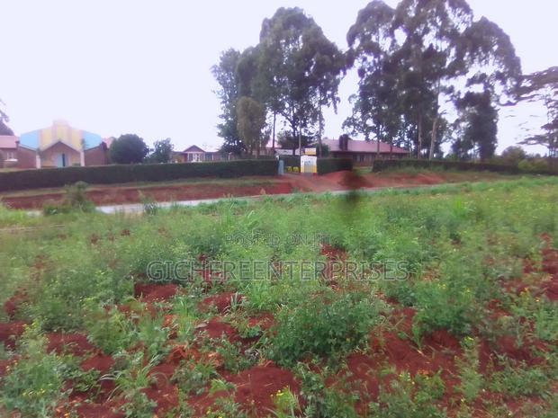 Nyeri Kangaita