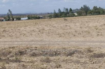 Kitengela Milimani