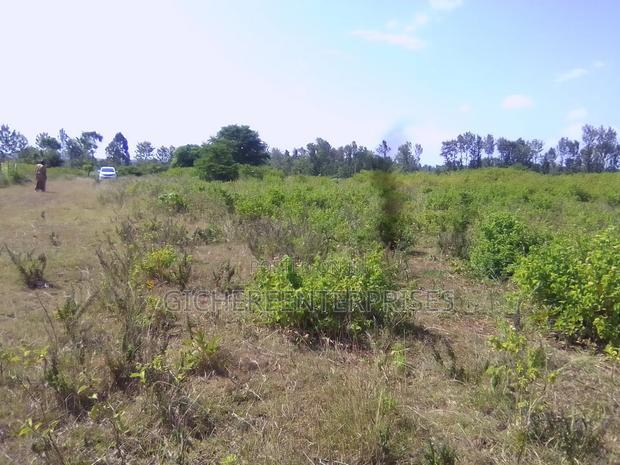 Nyeri Kangaita