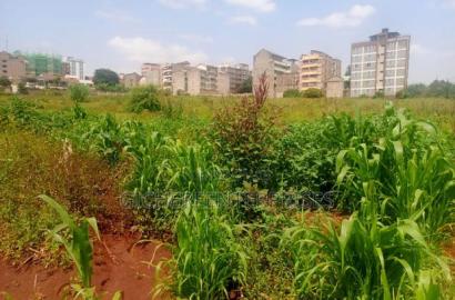 Kasarani Seasons