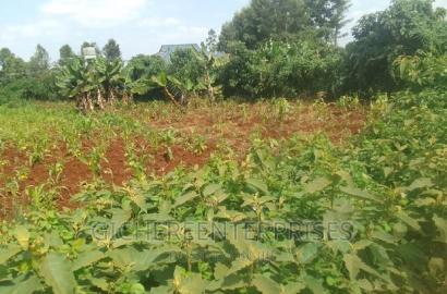 Kiambu Banana Road