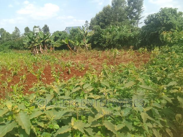 Kiambu Banana Road