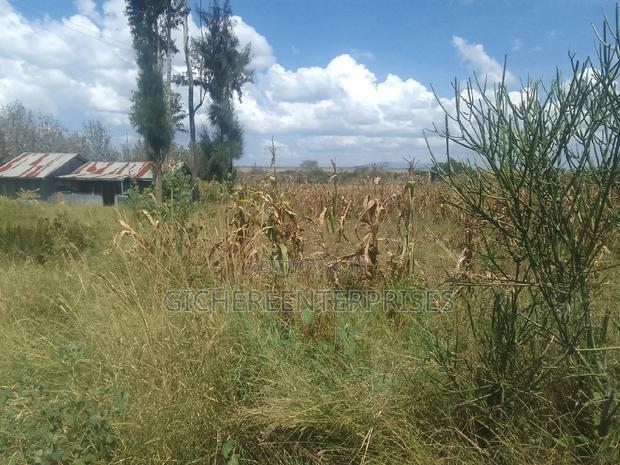 Kitengela,/Kisanju