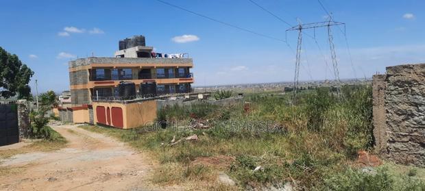 Thika Ngoriba