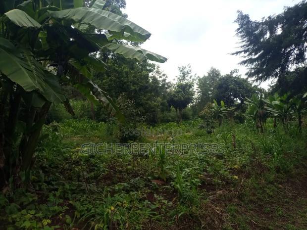 Kikuyu Plot