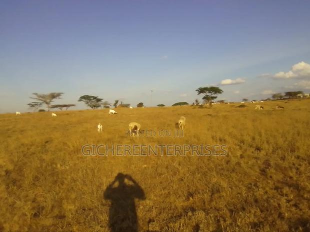 Kajiado Lsinya