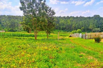 Vilageinn-