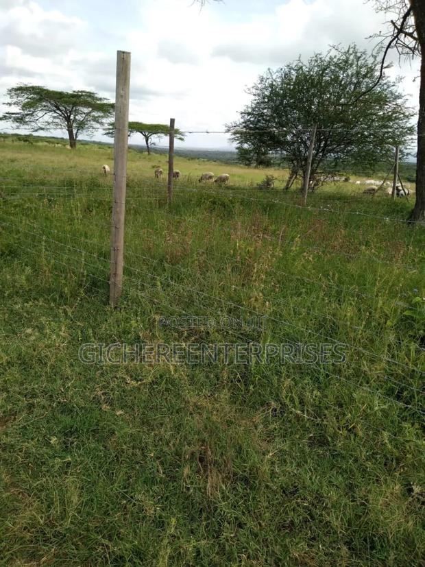 Kajiado Bisil