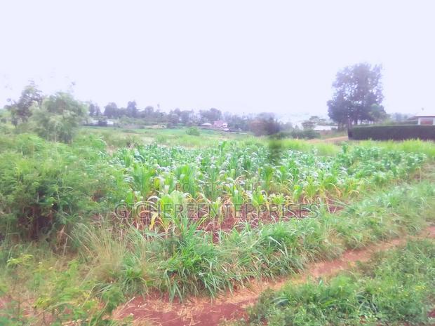 Nyeri Kangaita