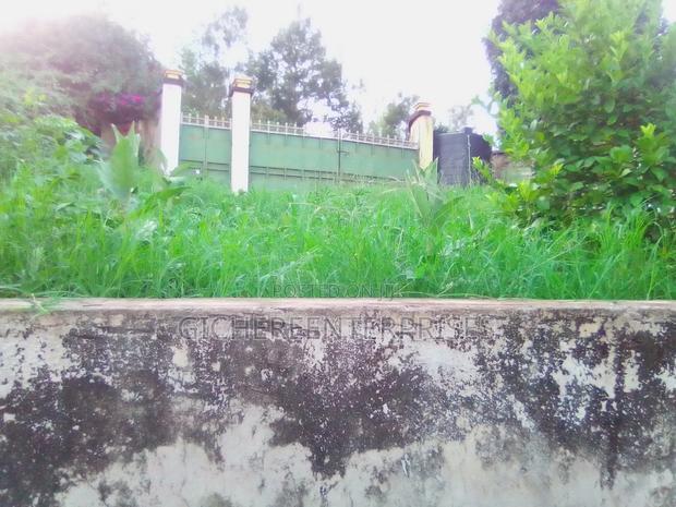 Nyeri Muruguru/Marua