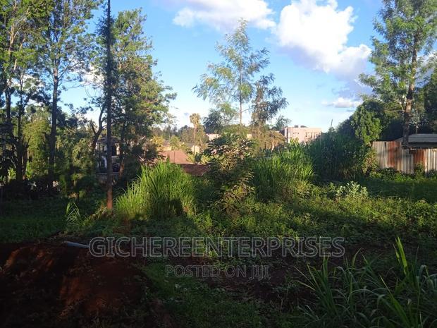 Thika Horticultural