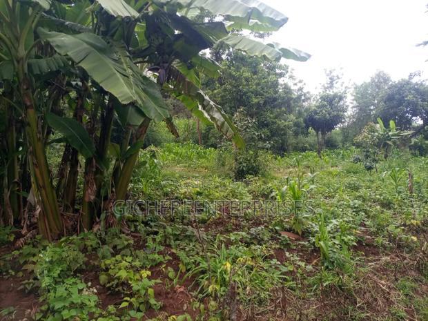 Kikuyu Plot