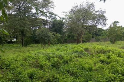 Commercial Land for Sale
