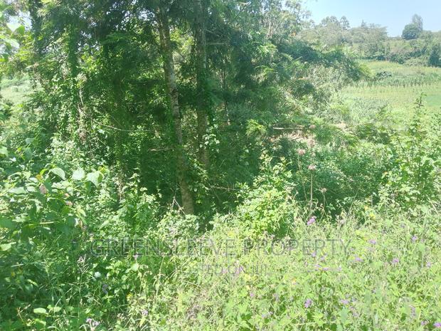 Half Acre for Sale