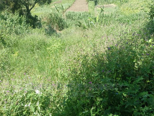 Half Acre for Sale