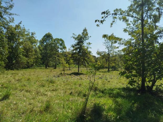 Commercial Land