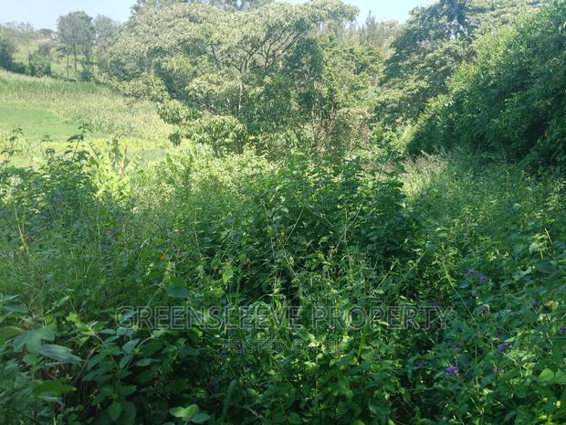 Half Acre for Sale
