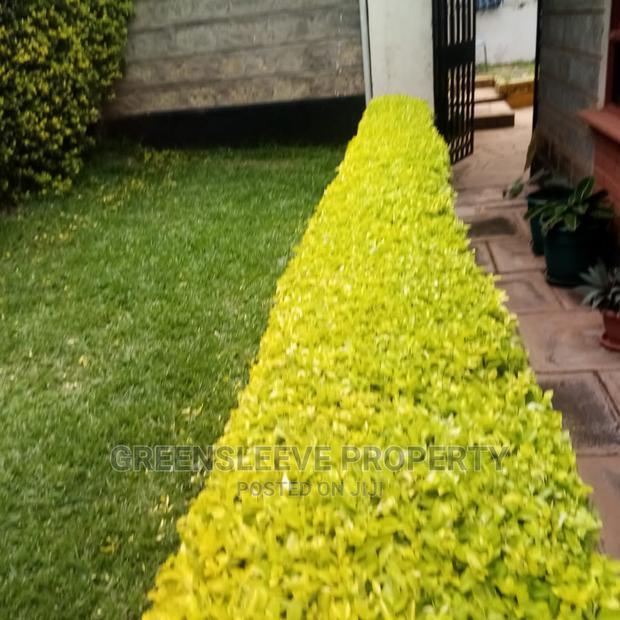 4bedrooms Townhouse 8 Houses