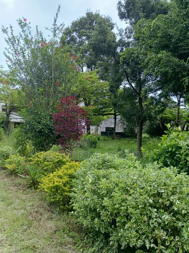 1 Acre for Sale
