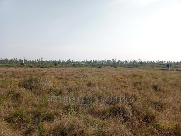 5 Acre Land for Sale