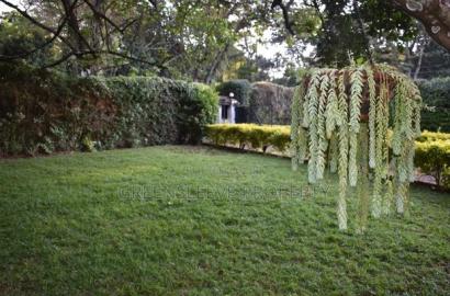 3bdrm Bungalow in Karen for rent