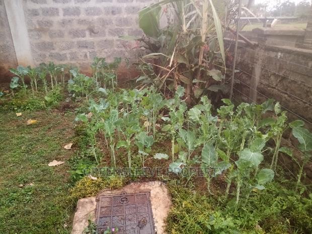 3bdrm Bungalow in Mukoeit West, Karen C for Rent