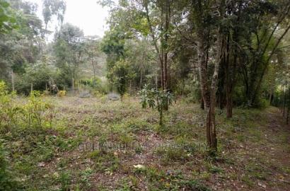Karen Land for Leseing
