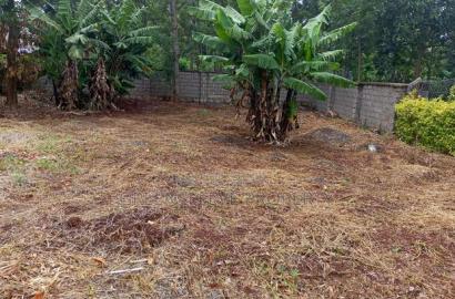 Half Acre for Sale