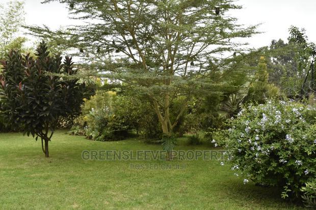 4bdrm Townhouse / Terrace in Hardy for rent