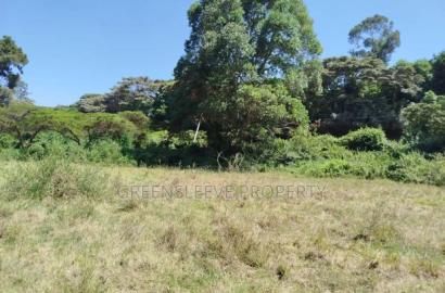 Commercial Land