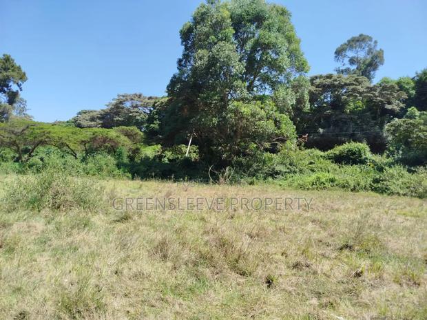 Commercial Land