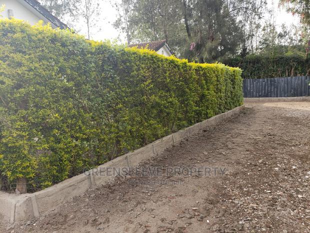 3bdrm Bungalow in Mangari Roads Karen, Hardy for Rent