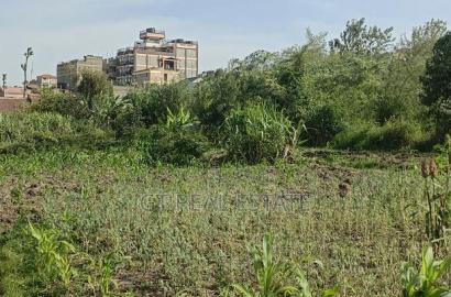 Kasarani Half Acre for Sale