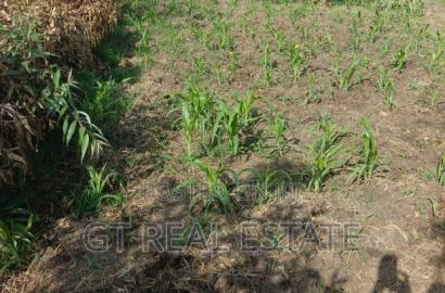 50x100 Pipeline Nakuru