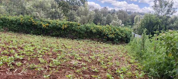 Eigth Acre Plot for Sale in Ngong Upper Matasia.