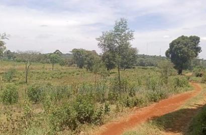 50*100 Plots for Sale in Ngong, Kerarapon Drive.
