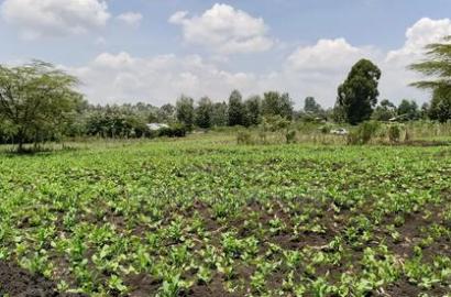 Plots for Sale in Ngong Matasia Merisho Road