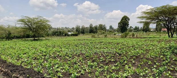 Plots for Sale in Ngong Matasia Merisho Road