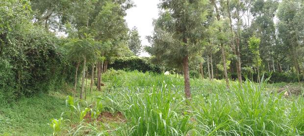Quarter Acre Plot for Sale in Ngong Kerarapon Drive.