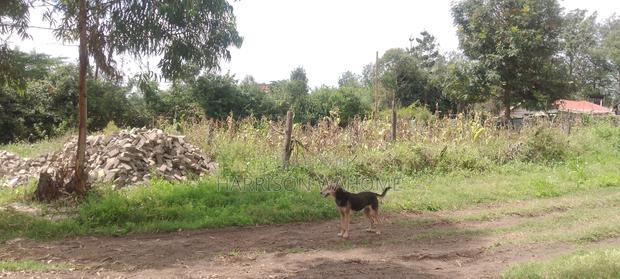 Ngong Zambia Road 50*100 Plot for Sale