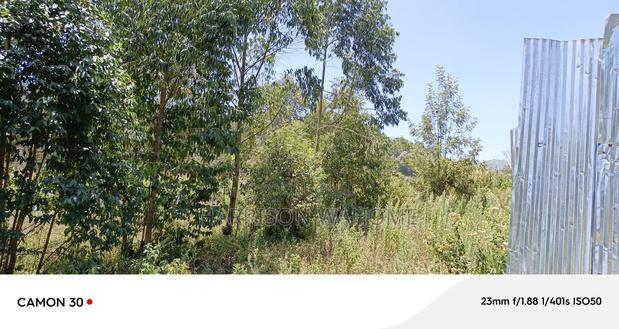 Quarter Acre Plot for Sale in Ngong 400 Metres From Tarmac